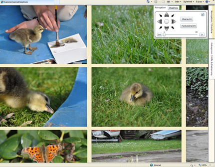 DuemmerGees image gallery